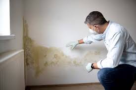 Best Biohazard Mold Removal  in Republic, PA